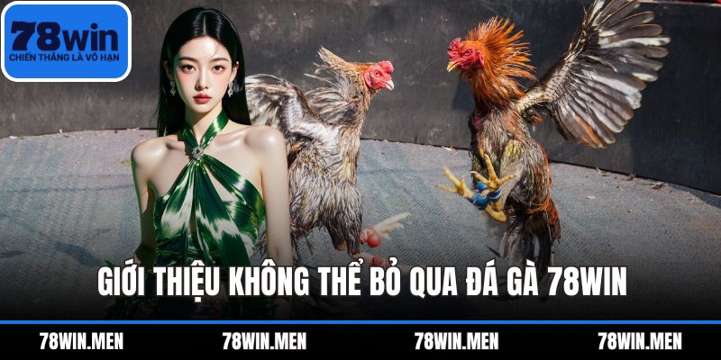 Giới thiệu không thể bỏ qua Đá Gà 78WIN