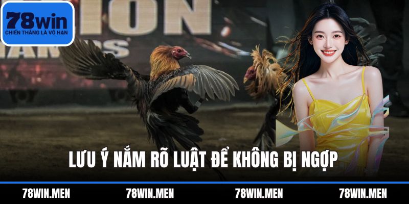 Lưu ý nắm rõ luật để không bị ngợp