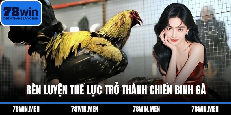 Rèn luyện thể lực trở thành chiến binh gà